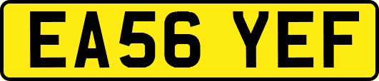 EA56YEF