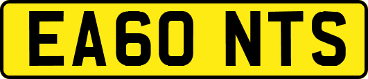 EA60NTS