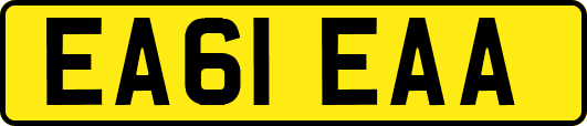 EA61EAA