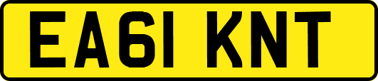 EA61KNT
