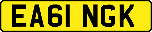 EA61NGK