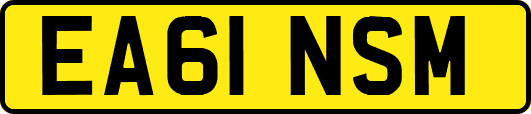 EA61NSM