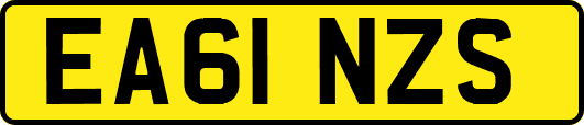 EA61NZS