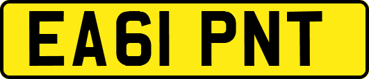 EA61PNT