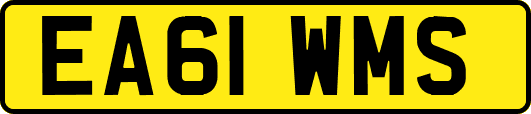 EA61WMS