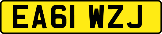 EA61WZJ