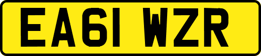 EA61WZR