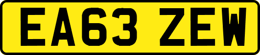 EA63ZEW