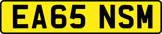 EA65NSM