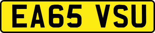 EA65VSU