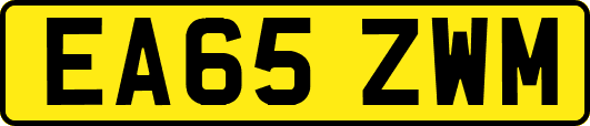 EA65ZWM