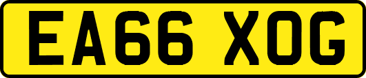 EA66XOG