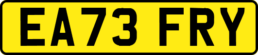 EA73FRY