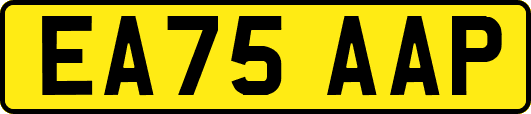EA75AAP