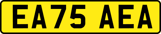 EA75AEA