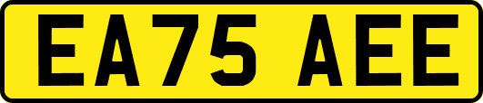 EA75AEE