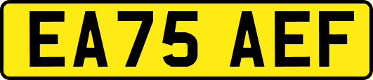 EA75AEF