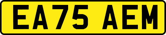 EA75AEM