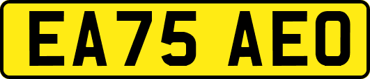 EA75AEO