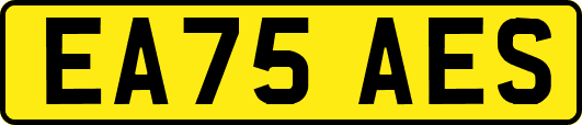 EA75AES
