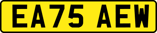 EA75AEW
