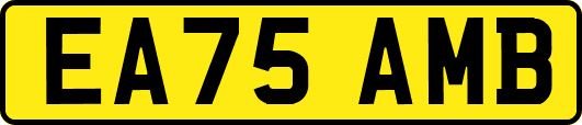 EA75AMB
