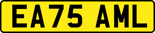 EA75AML