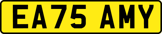 EA75AMY