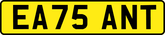 EA75ANT