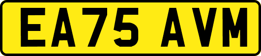 EA75AVM