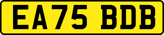 EA75BDB