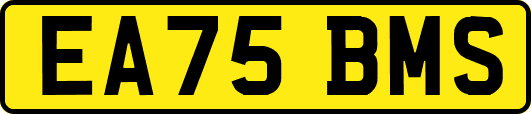 EA75BMS
