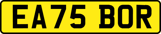 EA75BOR