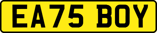 EA75BOY