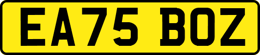EA75BOZ