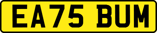 EA75BUM
