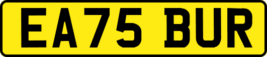EA75BUR