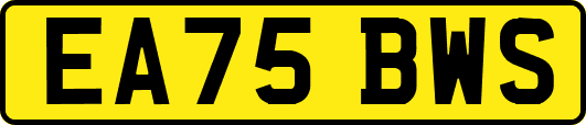EA75BWS