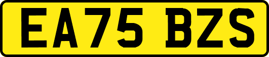 EA75BZS