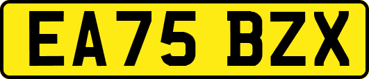 EA75BZX
