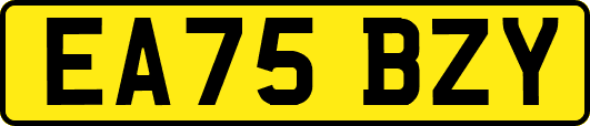 EA75BZY