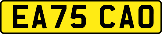EA75CAO