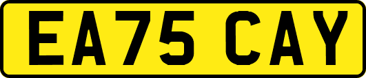 EA75CAY