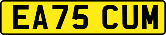 EA75CUM
