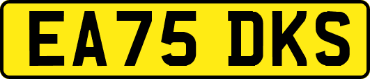 EA75DKS