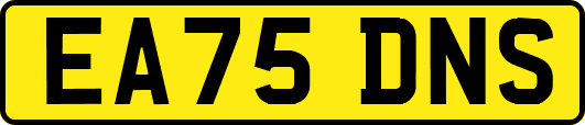 EA75DNS