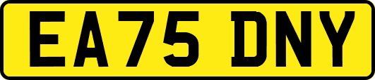 EA75DNY