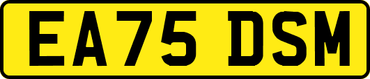EA75DSM