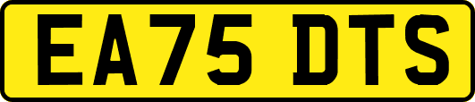 EA75DTS