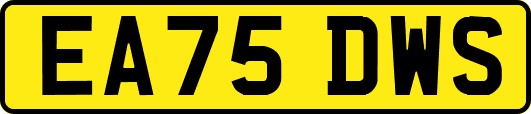 EA75DWS